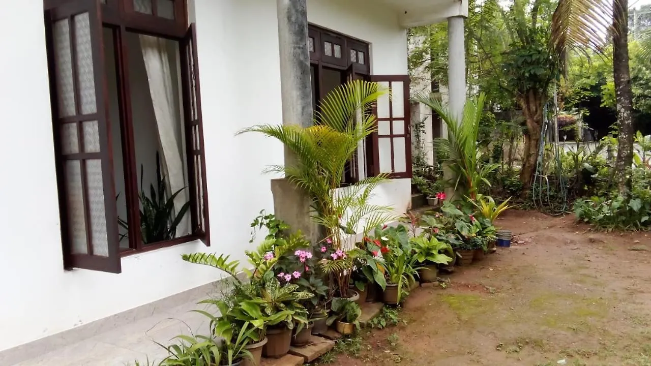 Bernard Homestay كاندي 0*,